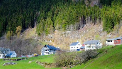 Trawa, słońce i wiosenne temperatury. To był najcieplejszy grudzień w Norwegii od lat