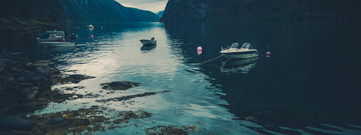 Rzadki przypadek zarażenia pochodną cholery w Oslofjorden. Chorej Norweżce amputowano nogę