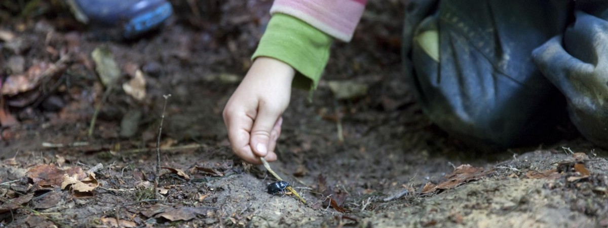 Przedszkolaki znalazły w lesie dwa kilogramy amfetaminy. „Myślały, że to mąka”