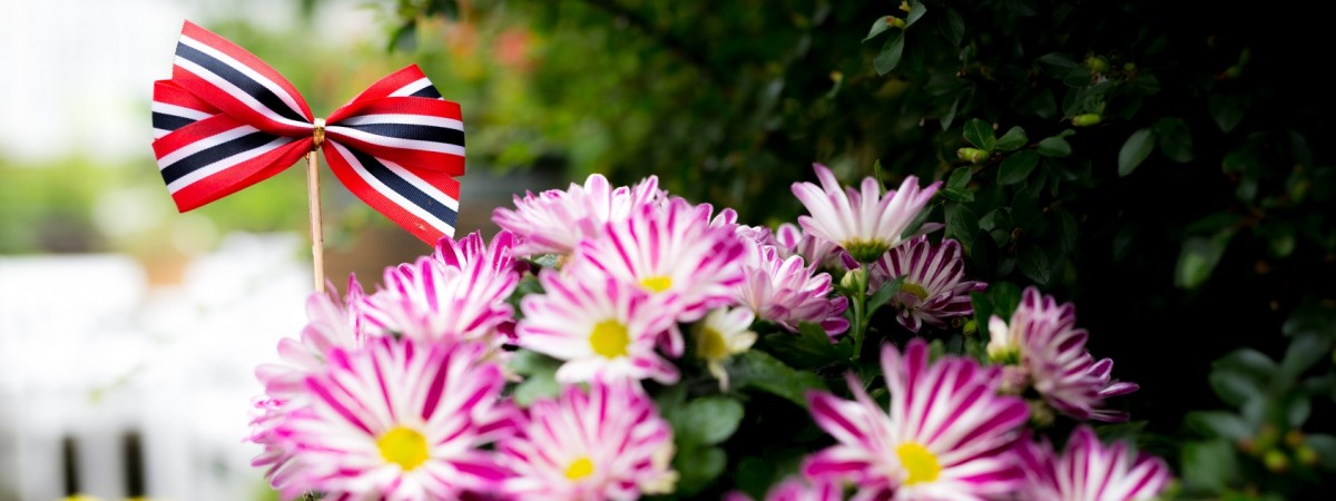 Najlepsze życzenia z okazji Dnia Kobiet!