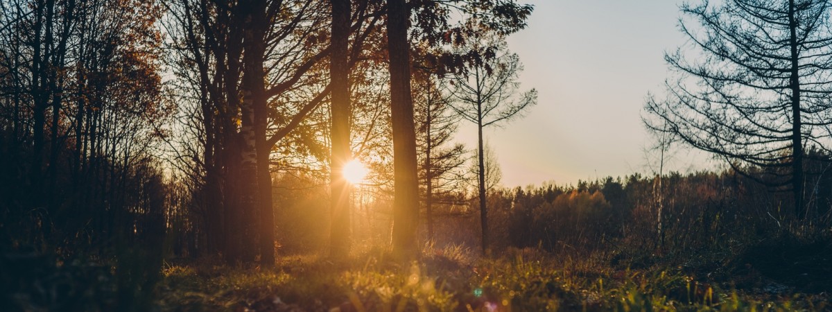  Norweskie filmy na jesienne wieczory: czarny humor, ironia i życiowe przemyślenia