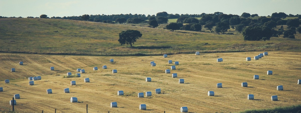 Norwegowie mieli budować elektrownie na słomę. Mieli, bo mieszkańcy Lublina inwestycji nie chcą 