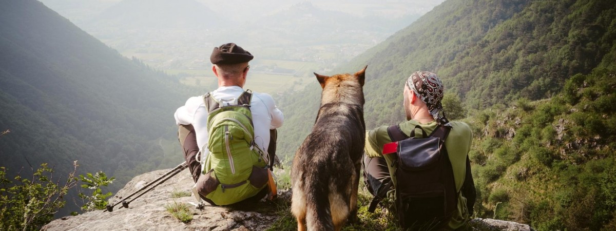 „Pracowity, miły pomocny”. Kto? Polak oczami Norwega