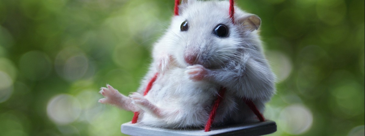 Jakim typem emigranta jesteś?