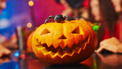 Gdzie najlepiej spędzić Halloween?