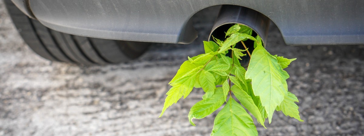 Norwegia krajem „neutralnym klimatycznie” w 2030? W Stortingu trwa debata