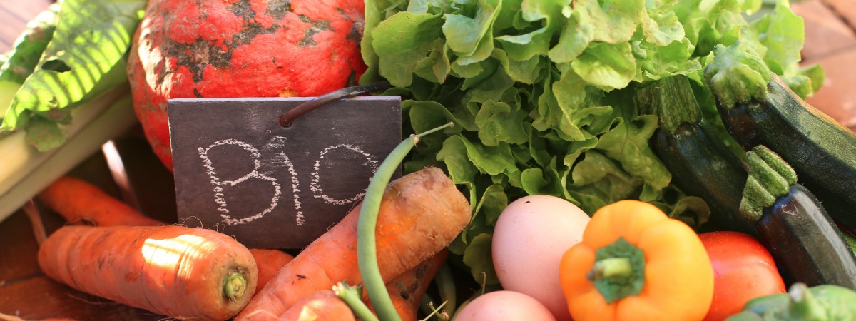 Produkcja żywności organicznej przyjazna dla środowiska? Norwescy naukowcy mają wątpliwości