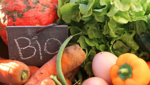 Produkcja żywności organicznej przyjazna dla środowiska? Norwescy naukowcy mają wątpliwości