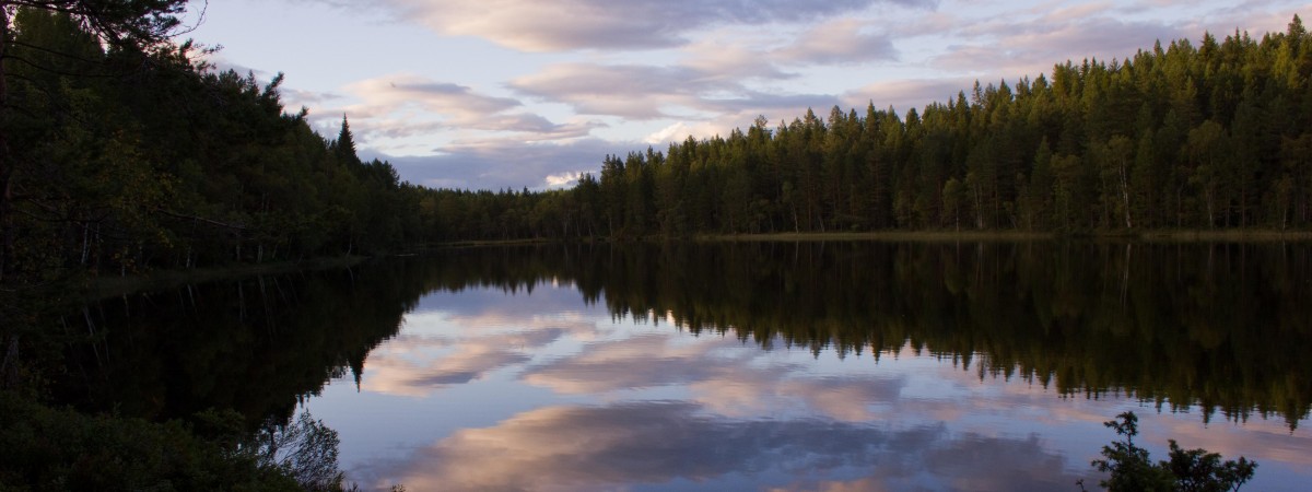 Telemark: kolebka narciarstwa i wakacyjny kierunek podróży