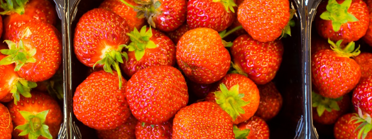 W końcu są… norweskie truskawki. Rozpoczyna się prawdziwe szaleństwo