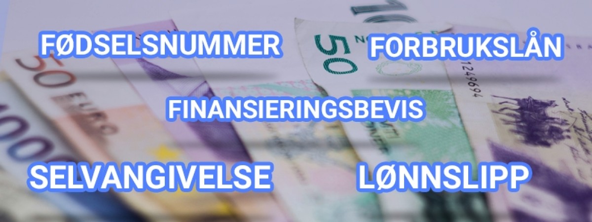 Co znaczy: fødselsnummer, lønnslipp, forbrukslån? Terminy finansowe [SŁOWNICZEK]