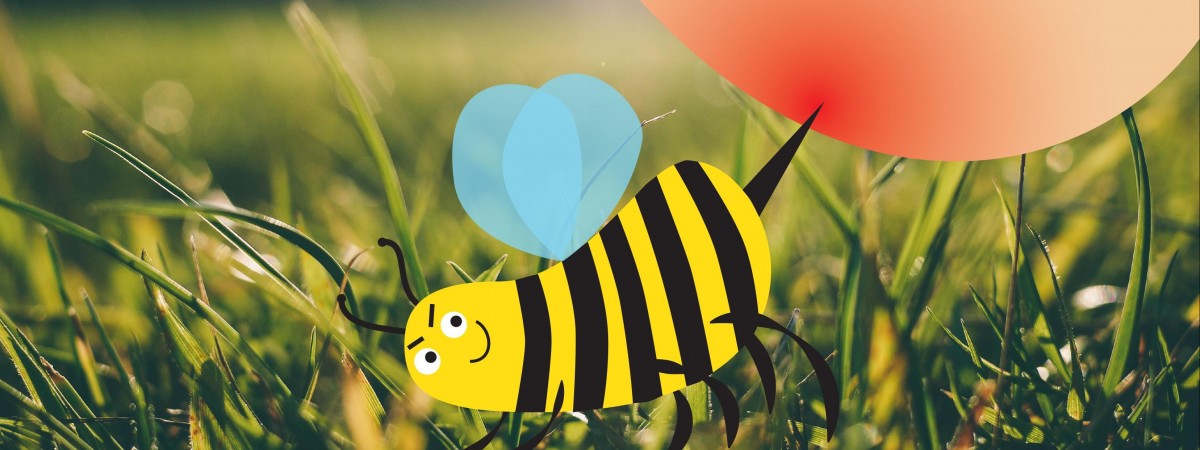 Jesteś uczulony na jad pszczeli? Uważaj i poznaj kilka sposobów, by się przed nimi ochronić