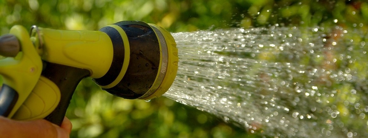 Koniec z podlewaniem trawników? Gminy wprowadzają restrykcje