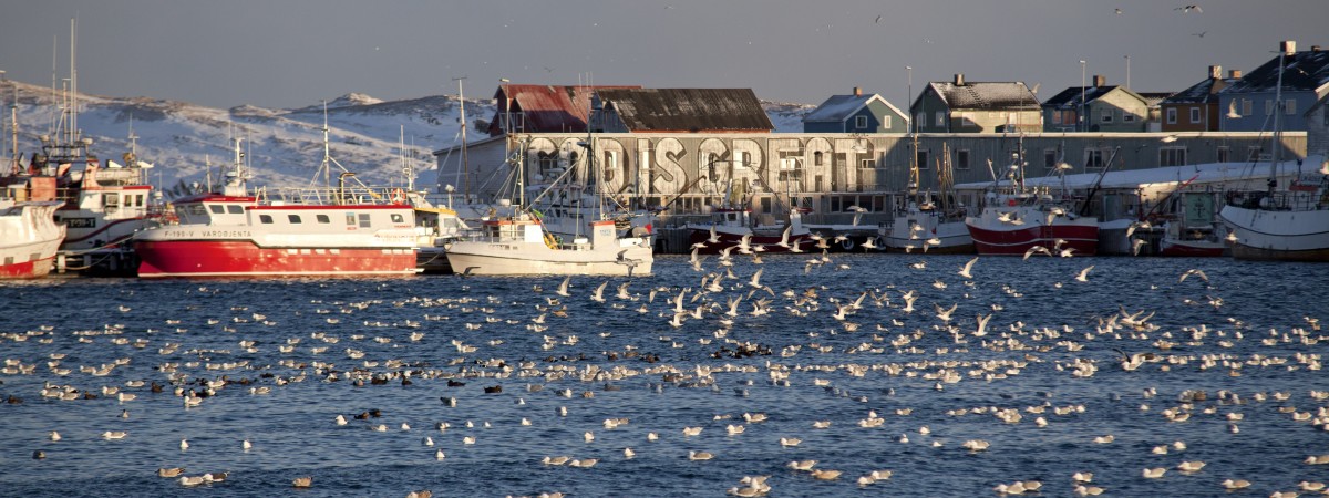 „Tutaj każdy spotkany człowiek to skarb”. Północ Norwegii okiem reportażystki