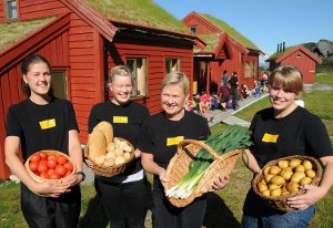 W góry, w góry, miły bracie! 