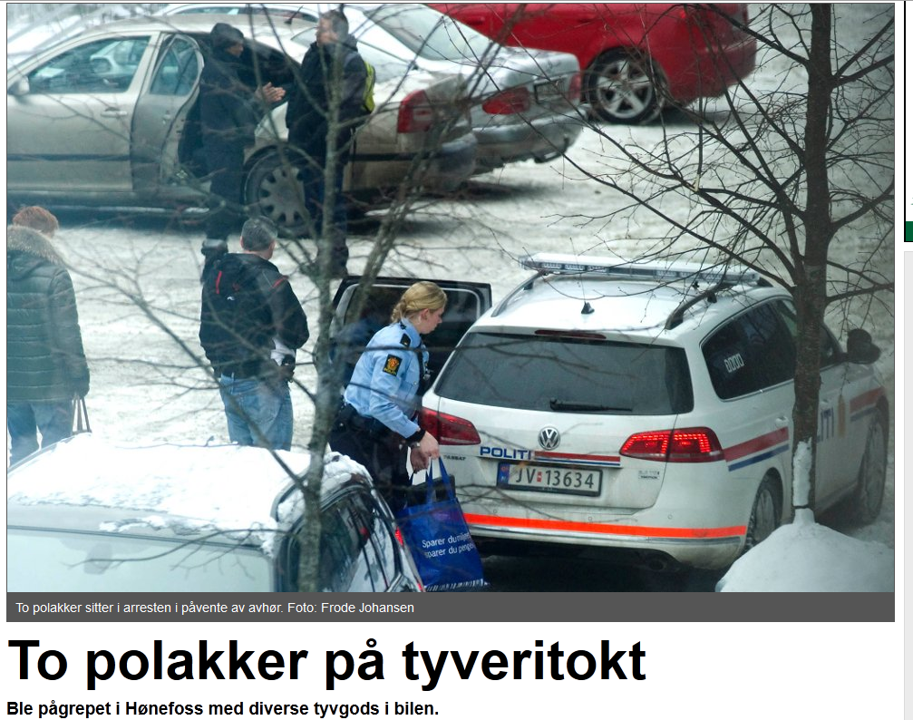 Dwaj Polacy na wikingu 