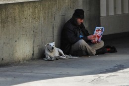 Politycy chcą zakazać żebrania