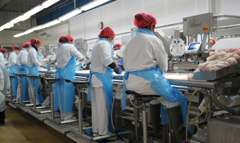 „Polskie płace” mogą stać się plagą w wielu branżach