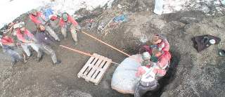 Szczątki Predatora X znaleziono w Norwegii