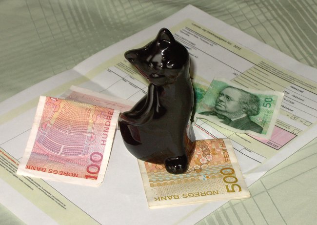 Kot dochodowy Bonifacy nowym ekspertem podatkowym portalu MojaNorwegia!