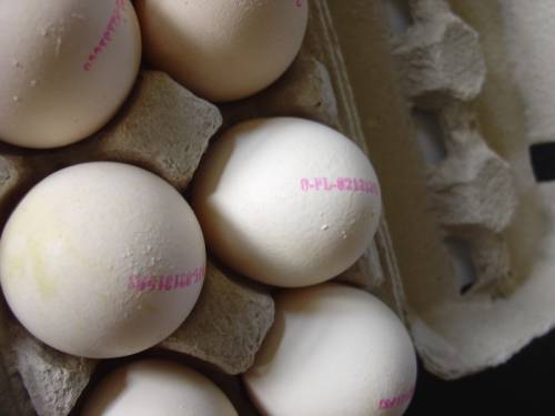 Wielkanoc na polskiej stacji arktycznej