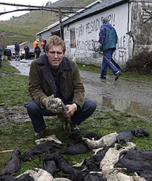 Największy hodowca zwierząt futerkowych w Norwegii oskarżony o dumping socjalny