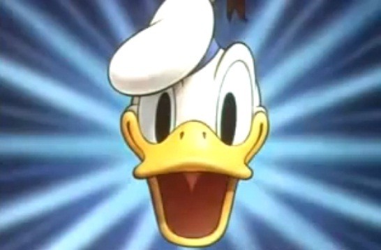 kaczor donald kaczor donald