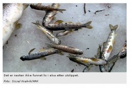 Katastrofa ekologiczna w Akerselva