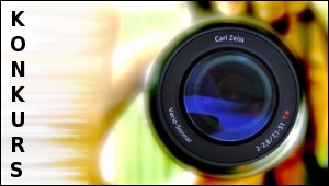 PIERWSZE PREZENTACJE – TWÓRCZA POLONIA