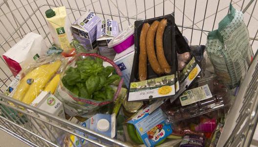 Nowości na półkach