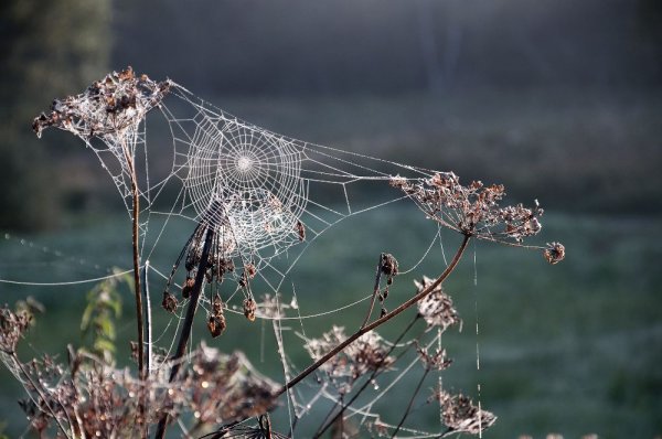 Polska - to, za czym tęsknimy