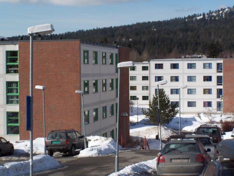 20 m2 to za mało dla studenta