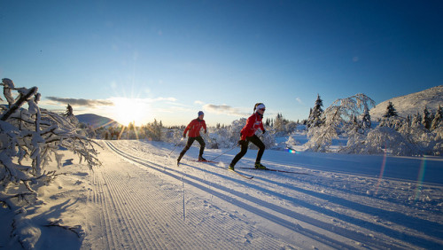 Skiforeningen zaprasza na kursy narciarstwa biegowego