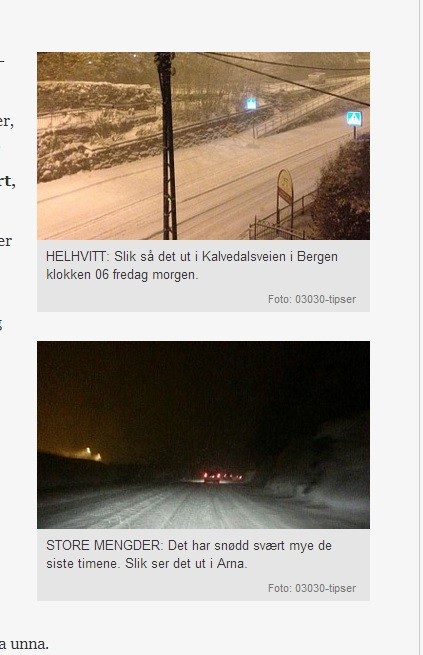 lisko.jpg