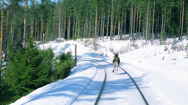 los-na-torach-roerosbanen-fot.jernbaneverket.jpg