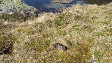 Największy meteoryt w Norwegii od stu lat