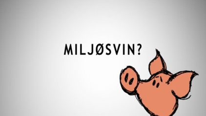 Mięsożerne ekologiczne świnie