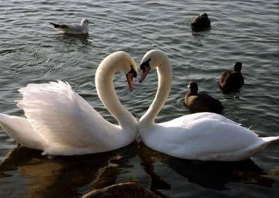 Emigrując nie szukasz tylko pracy ,lecz też ludzi !