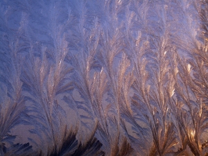 Idzie luty, kuj buty 