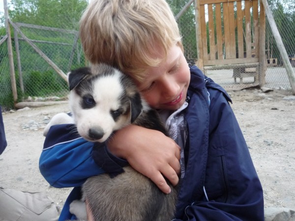 nie_ma_to_jak_przytulic_szczeniaka_husky.jpg