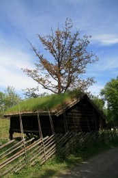 OSLO W CZASIE WOLNYM, część I – muzea