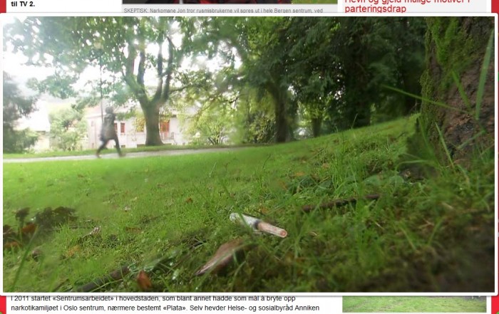 nygardsparken2.jpg nygardsparken2.jpg