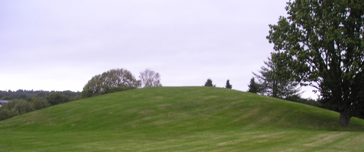 oseberghaugen.jpg