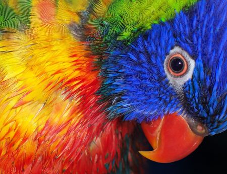 Kronika policyjna na wesoło