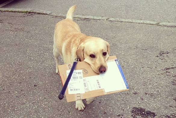 Nadchodzi koniec monopolu Poczty Norweskiej