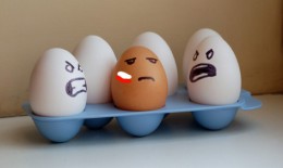 Prasa norweska pisze o Polakach, że to złodzieje, pijacy i przemytnicy. MAMY TEGO DOŚĆ!