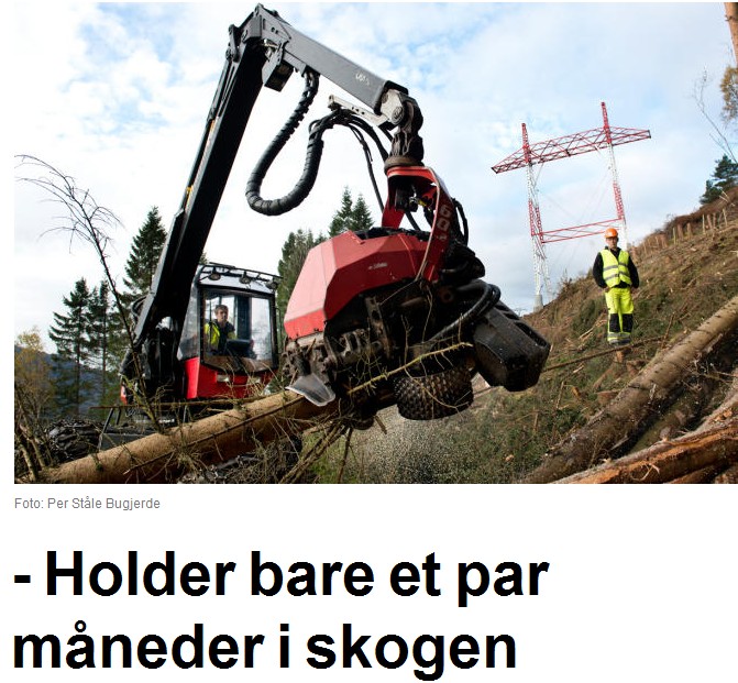 praca_w_lesie.png praca_w_lesie.png