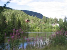 Pierwsza Poradnia Psychologiczna dla Polaków w Norwegii