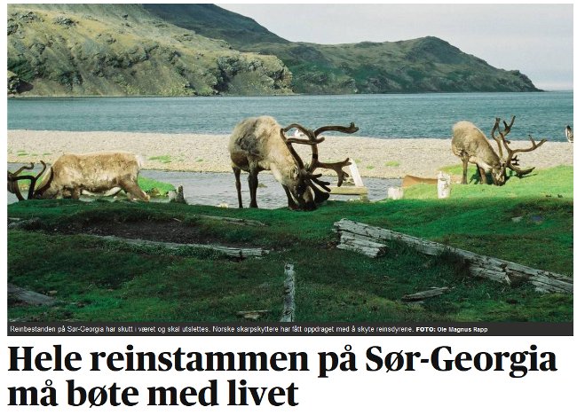 Renifery