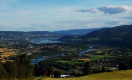 Rolnictwo ekologiczne – na czym polega? 